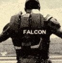 Falcon Solider